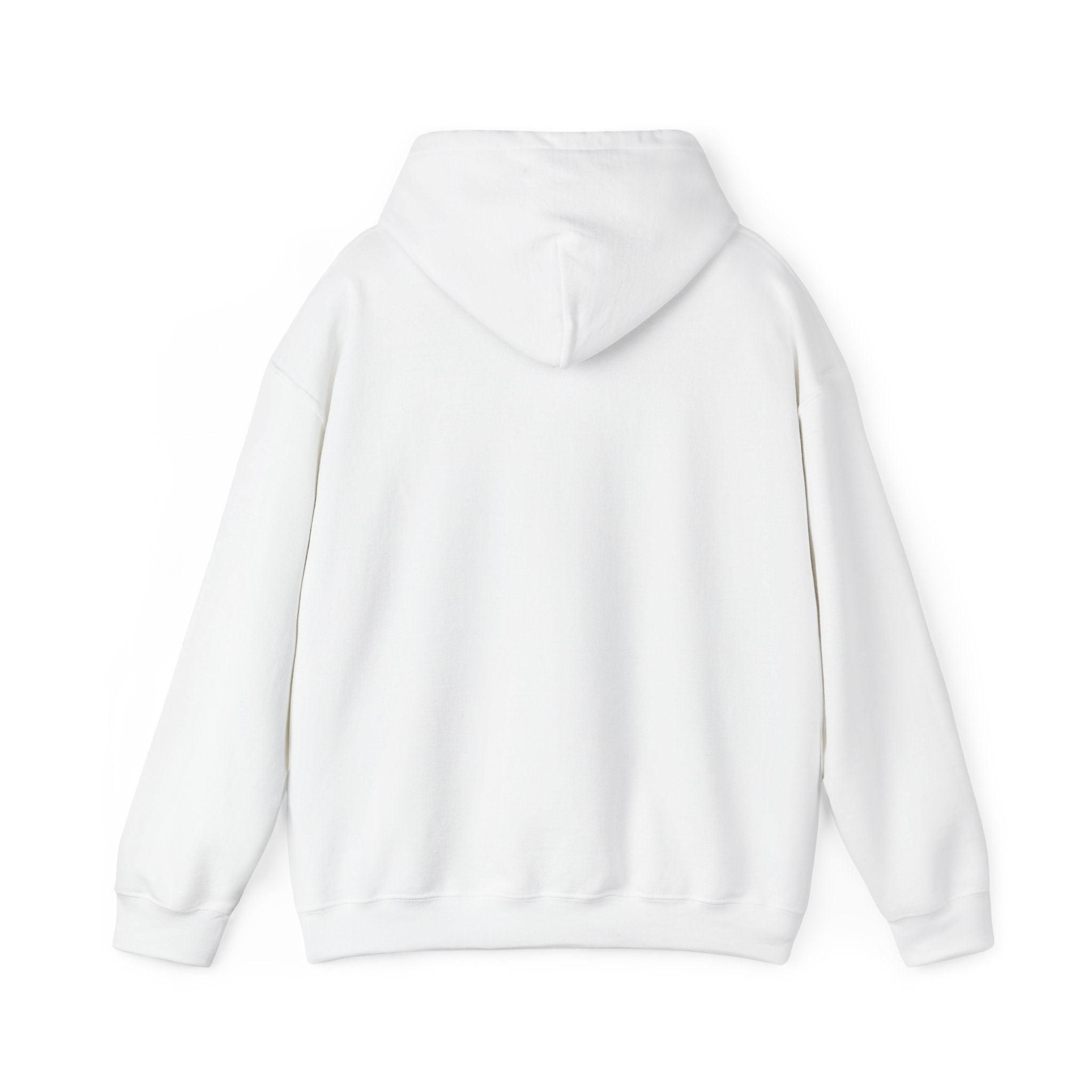PTR Logo Hoodie — Original PTR Hoodie